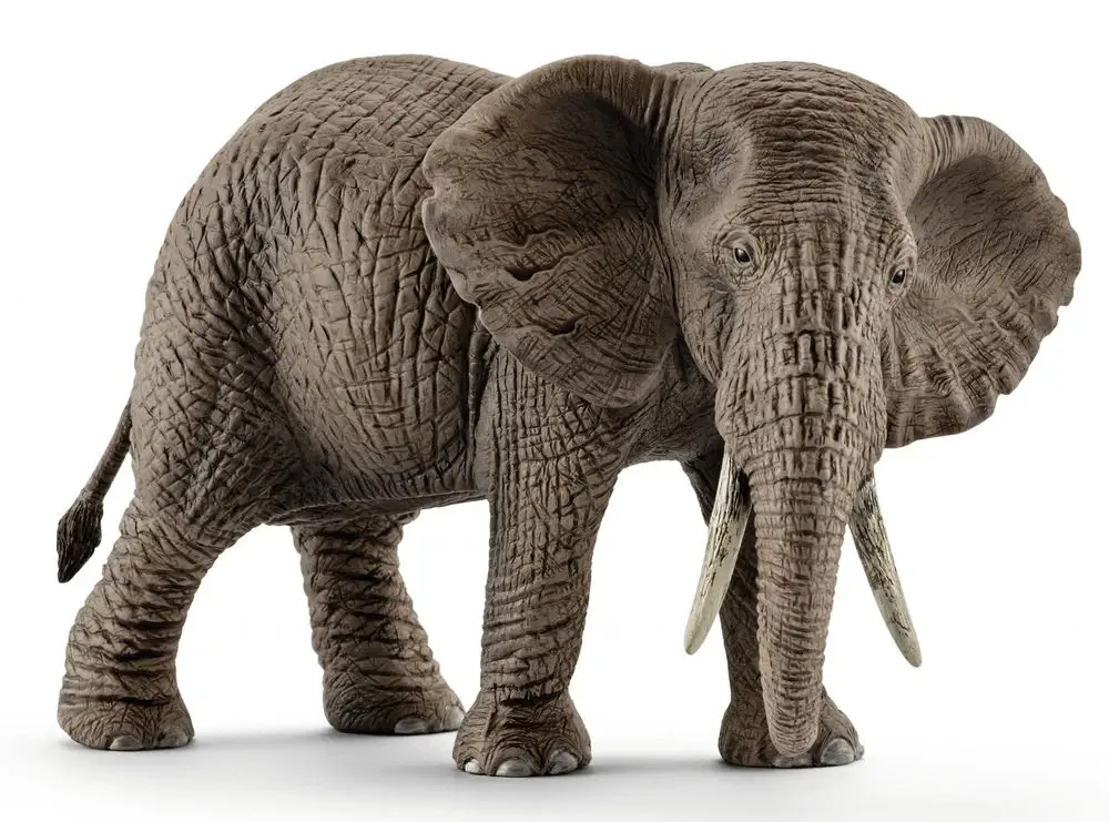 Schleich 14761 Slon africký samica